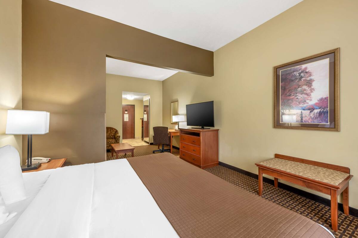 A hotel room with a bed, a desk, a television, a chair, a dresser, and a painting on the wall.