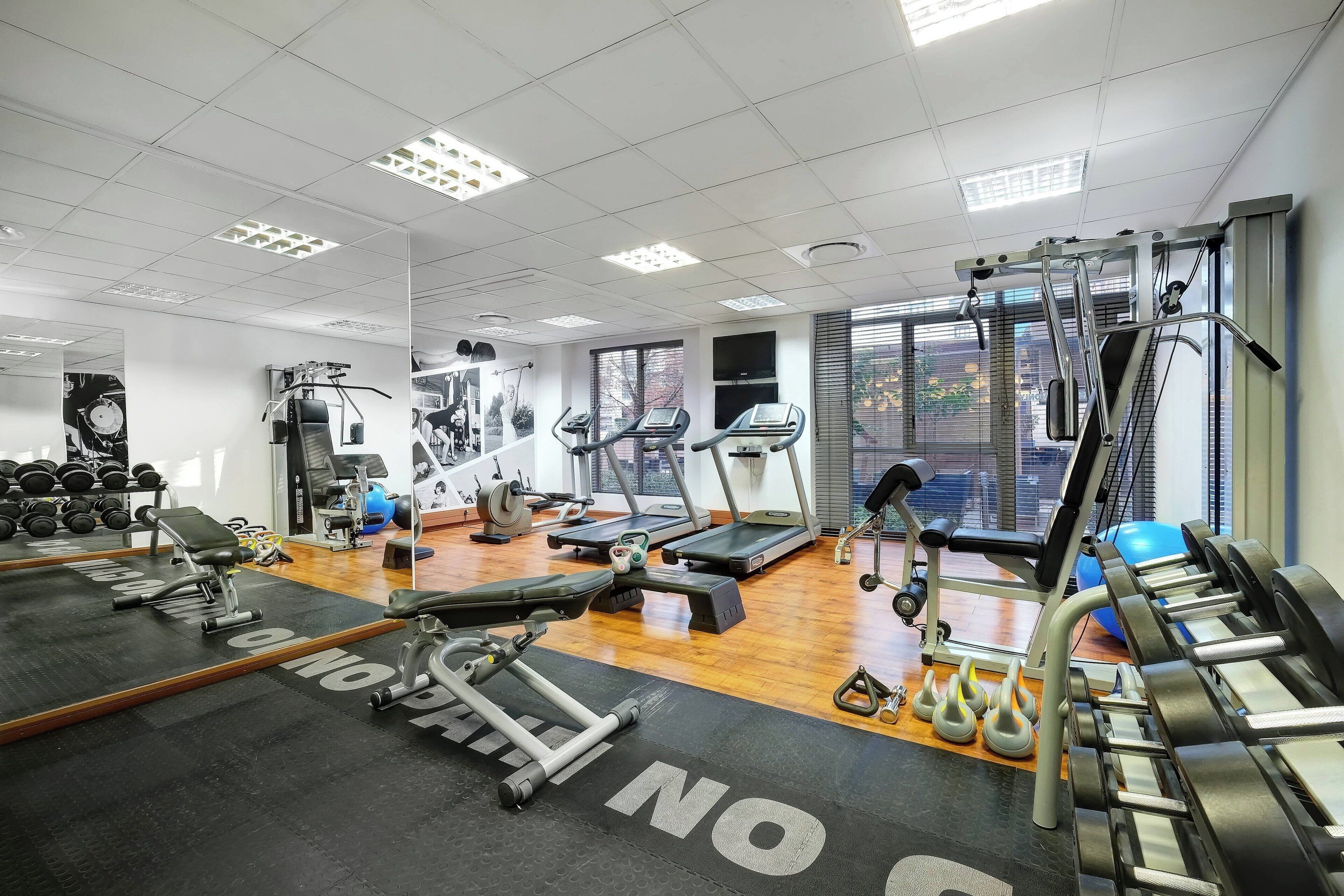 A gym with treadmills, weight machines, and free weights.