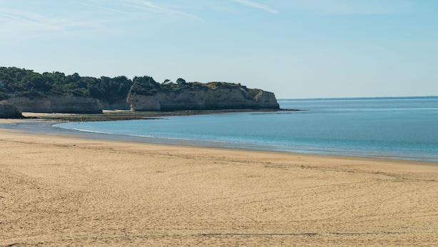 A beach with a sandy shore and a cliff with vegetation. - Résidence Lagrange Vacances Les Maisons de Saint-Georges (Saint-Georges-de-Didonne)