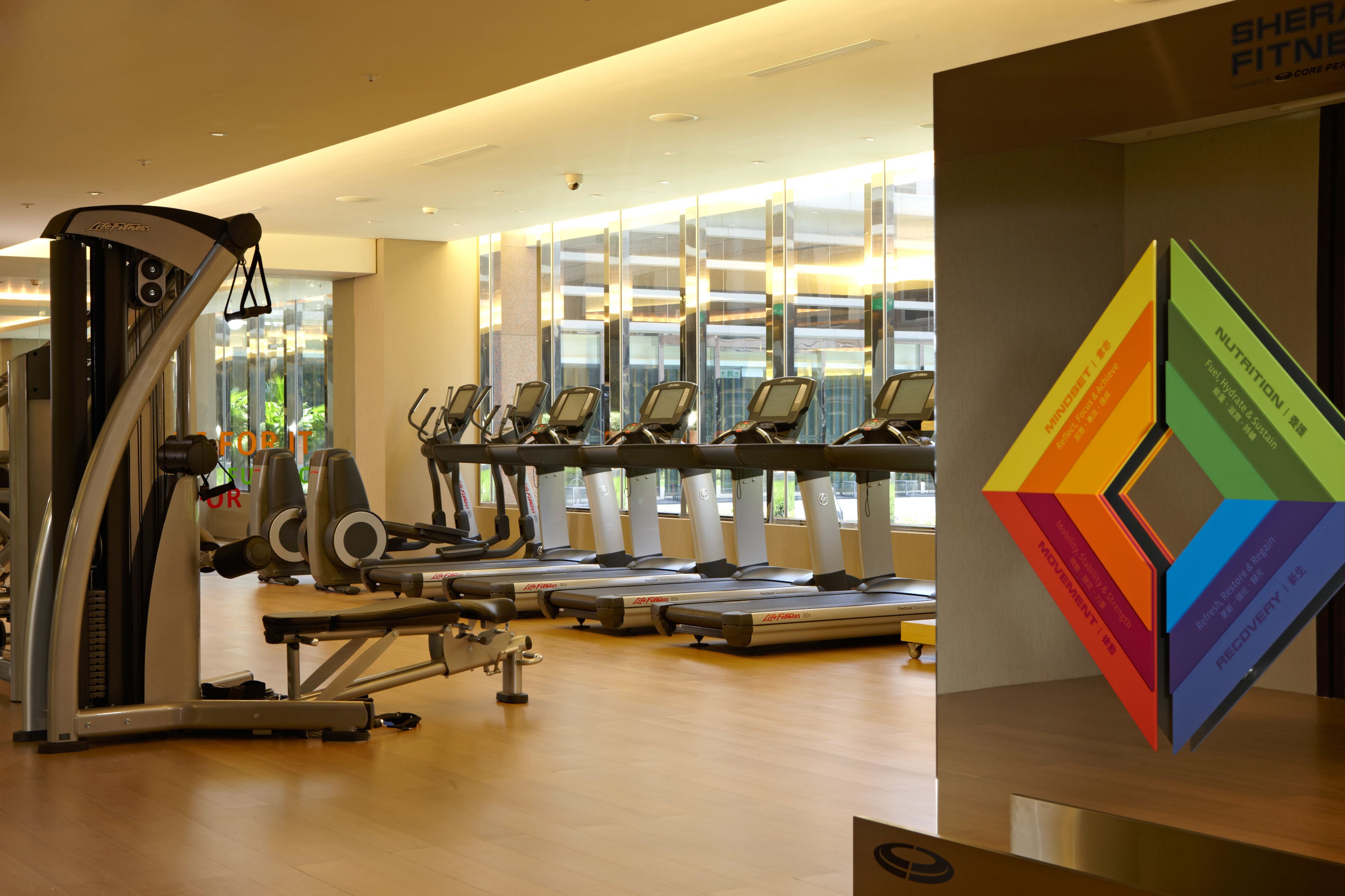 A gym with treadmills, a stationary bike, and a weight machine.