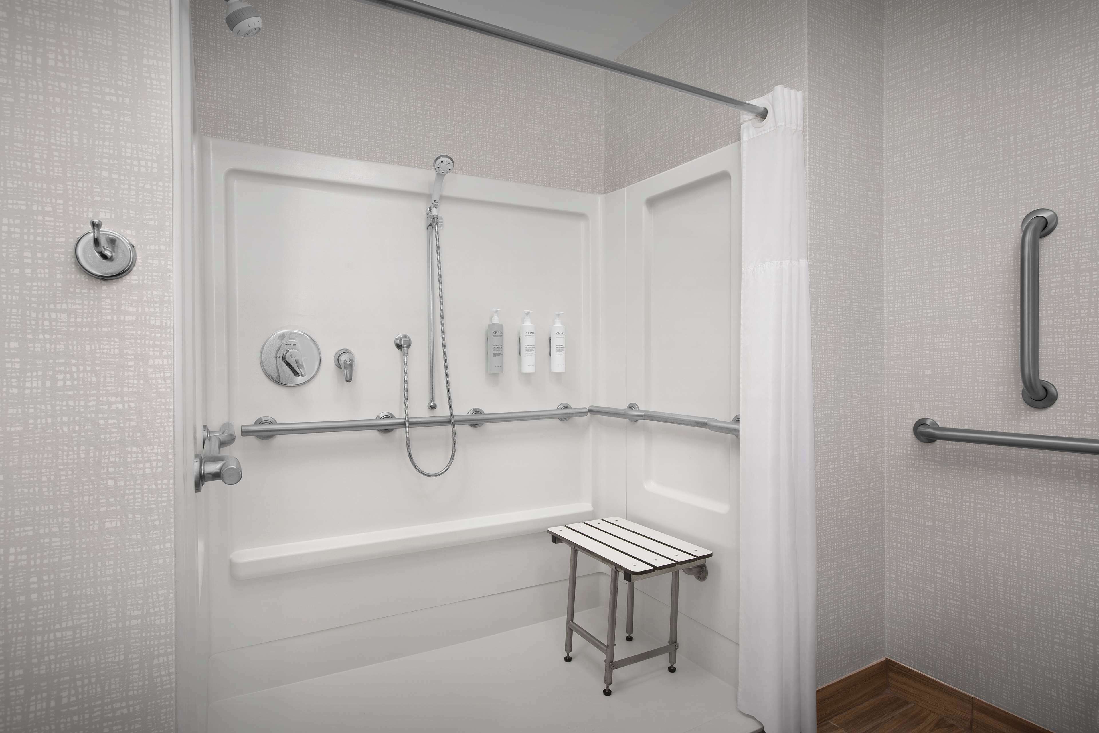 room, 1 king bed, accessible, non smoking | bathroom shower