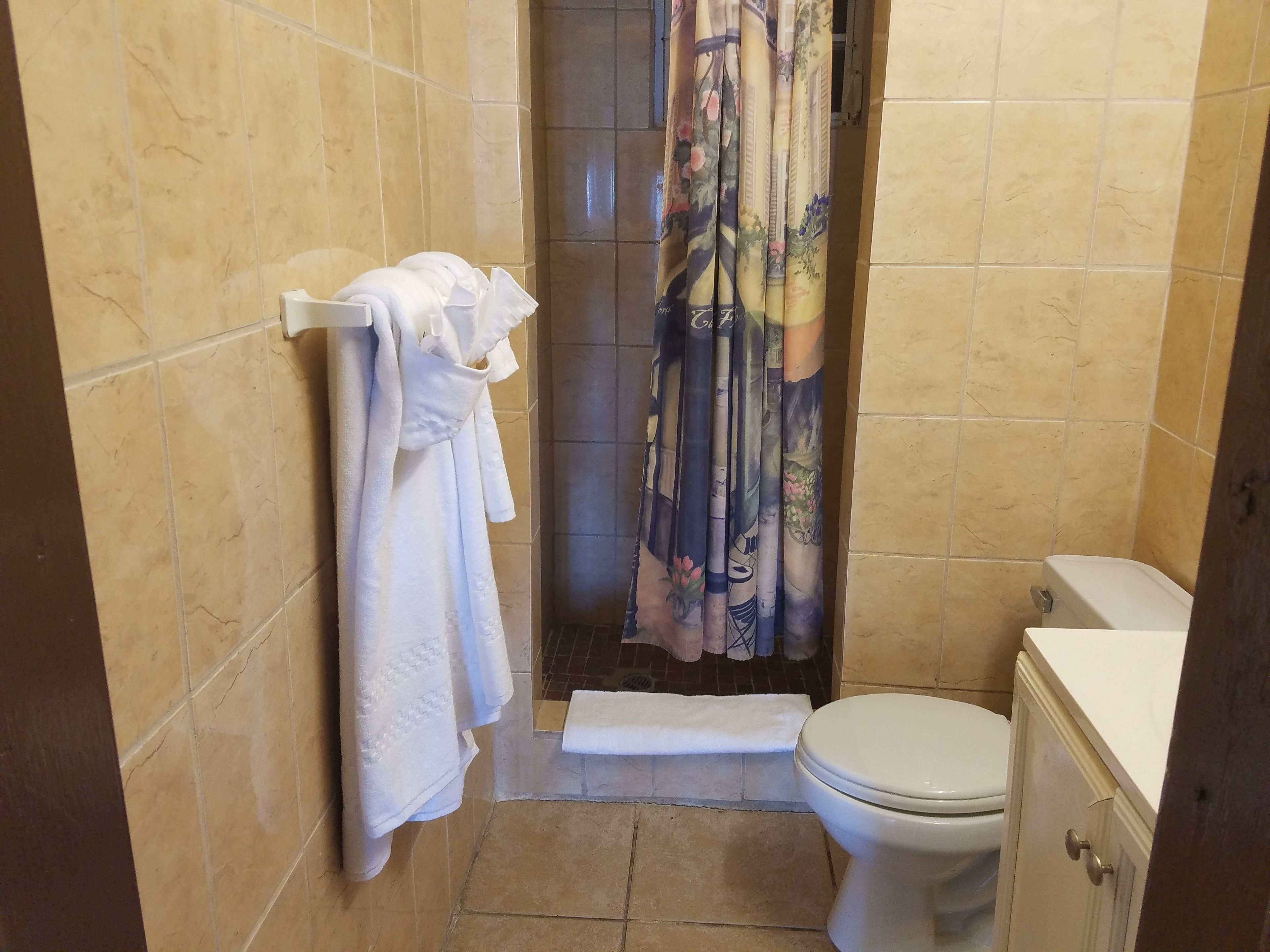 shower, free toiletries, hair dryer, towels