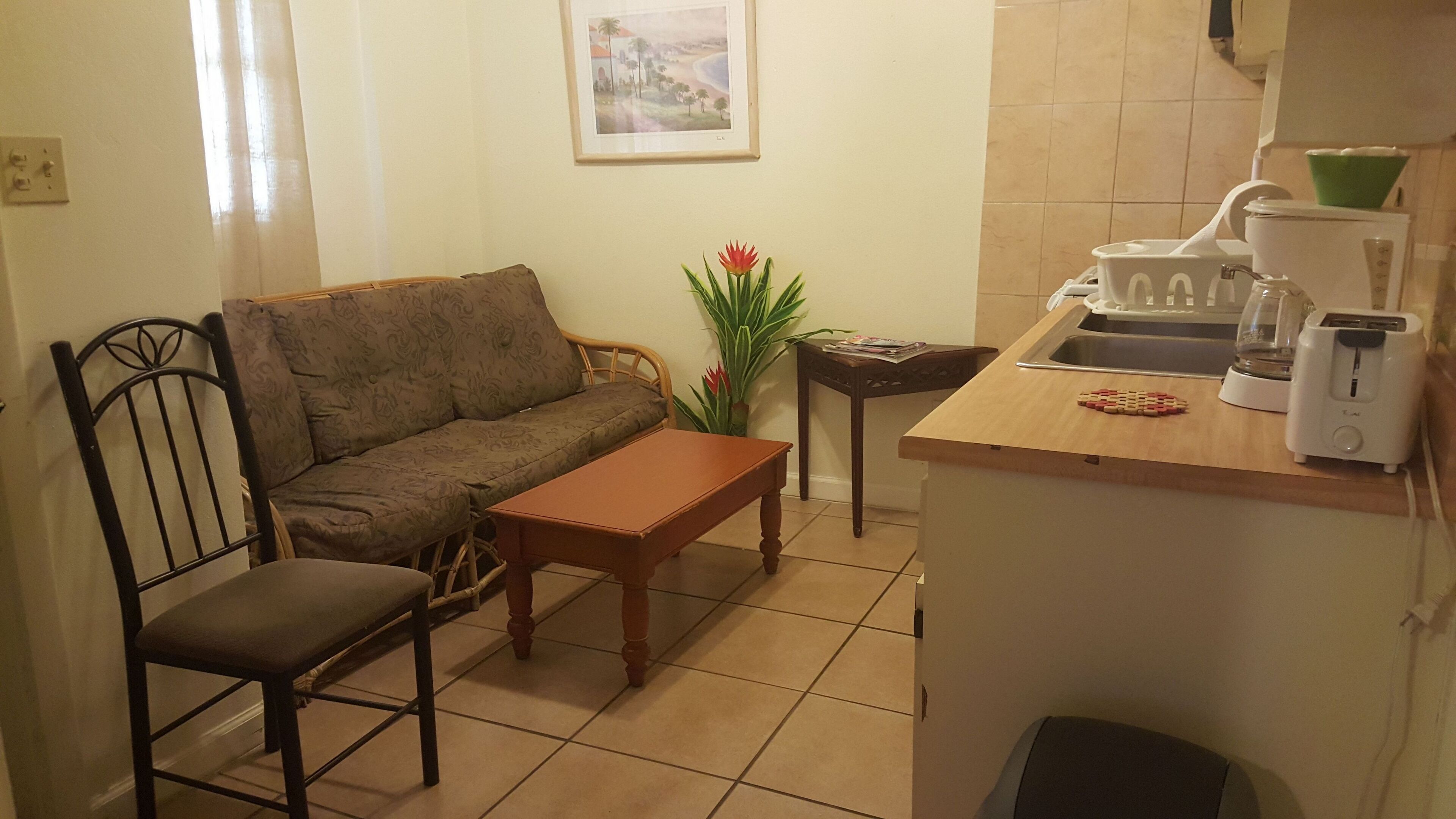 A compact living space with a sofa, a wooden table, a chair, a small kitchen area with a sink, a toaster, and a potted plant.
