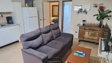 En kompakt opholdsstue med sofa, sofabord, et lille tekøkken og et træskab.