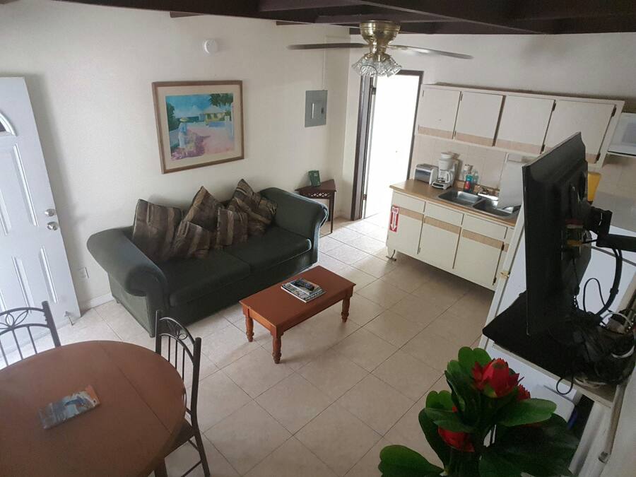 A living room with a sofa, a coffee table, a TV, and a dining area with a table and chairs.