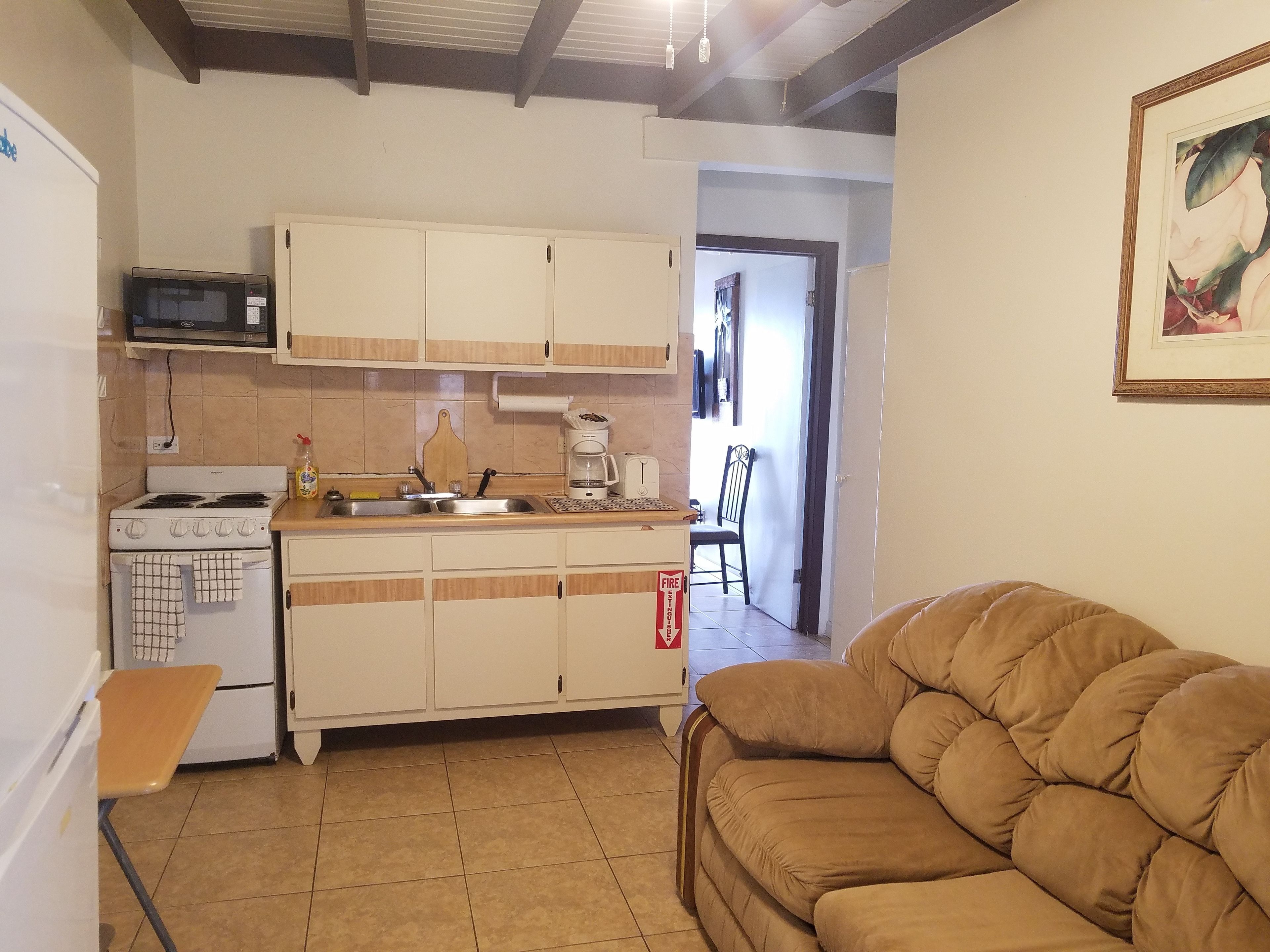 basic apartment, 1 bedroom, sea view | private kitchen | full-sized fridge, microwave, stovetop, coffee/tea maker