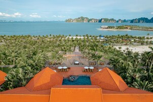 Resort com piscina, palmeiras e vista para o mar.