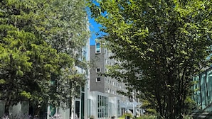 A pathway leading to a modern building with a geometric tile pattern, surrounded by lush greenery and trees.