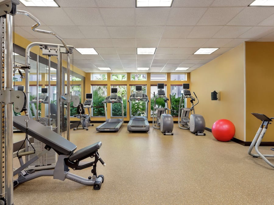 A gym with various exercise equipment, including treadmills, elliptical machines, and weight machines.