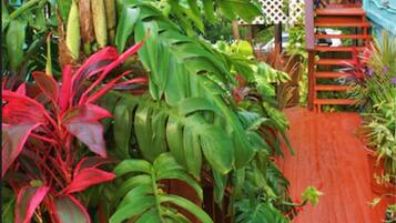 Jardines del alojamiento