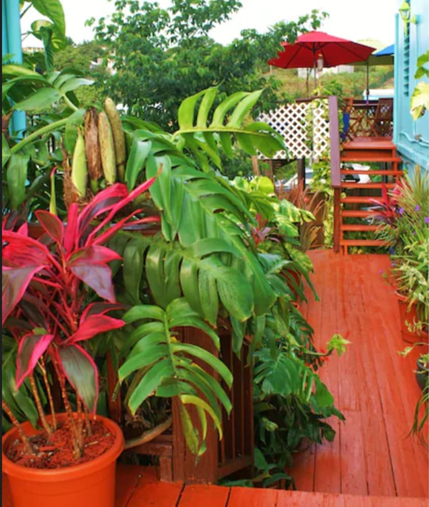 St. John Inn by null