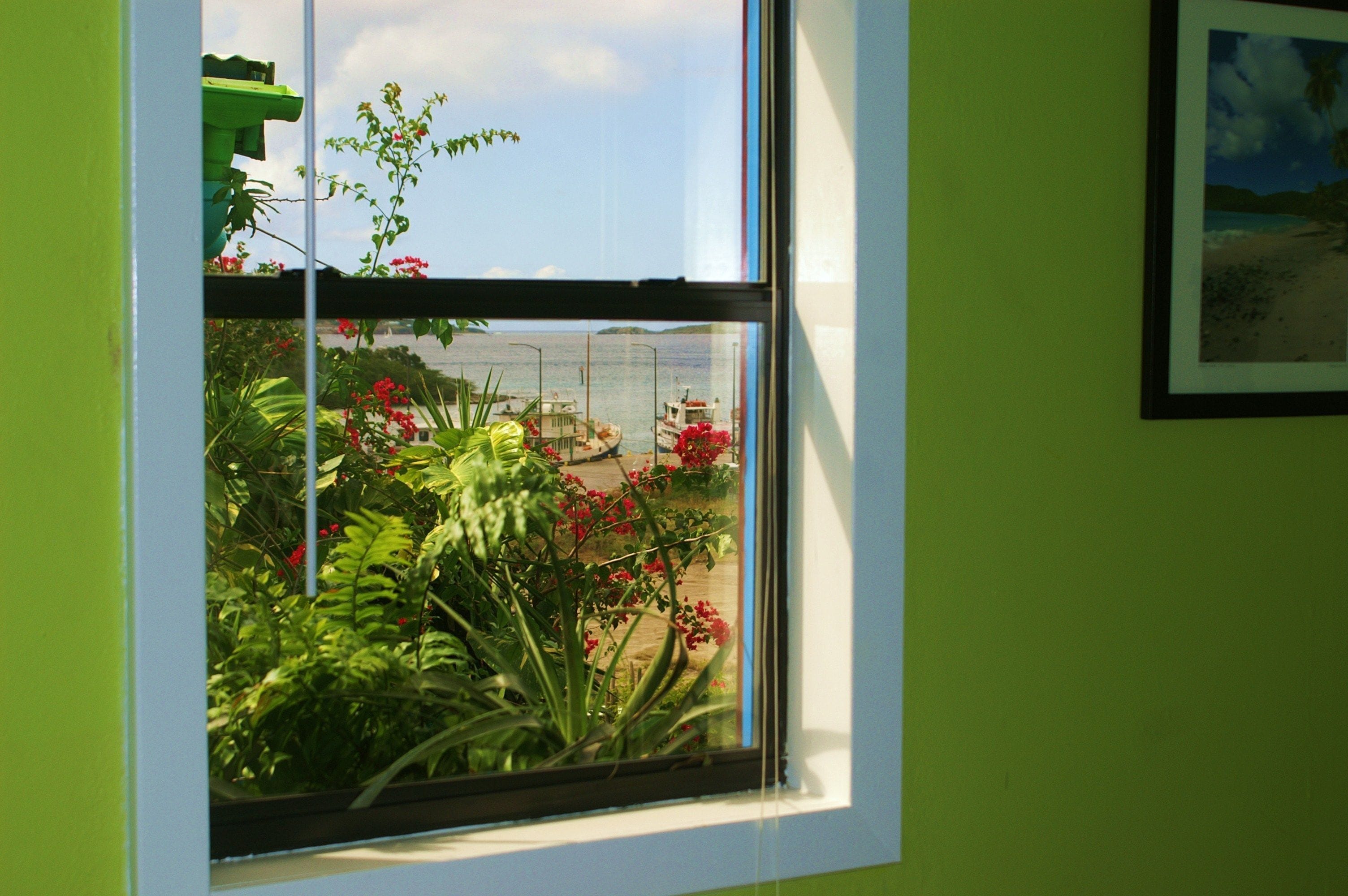 Ein Fenster mit Blick auf einen Garten und eine Anlegestelle.