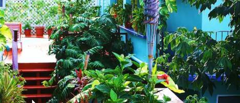 Un jardin luxuriant, avec une grande variété de plantes et un carillon décoratif.