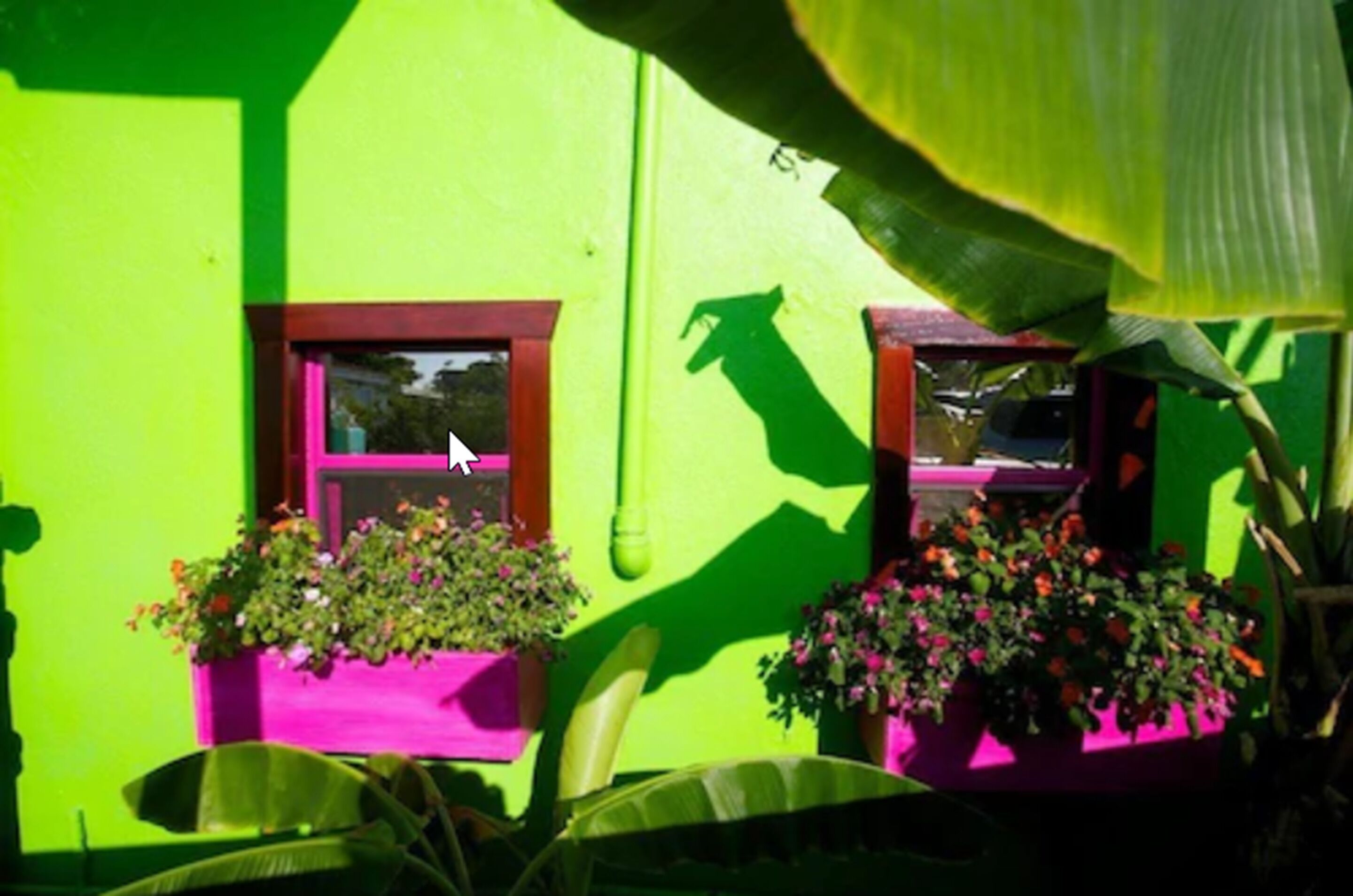 Un bâtiment d’un vert éclatant, doté de deux fenêtres, chacune encadrée de bois et agrémentée d’une petite jardinière fleurie.