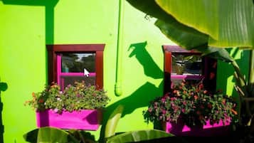 Un bâtiment d’un vert éclatant, doté de deux fenêtres, chacune encadrée de bois et agrémentée d’une petite jardinière fleurie.