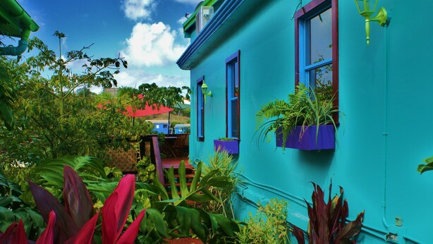 A turquoise building with a window and a door, surrounded by lush greenery. - St John Inn (St. John)