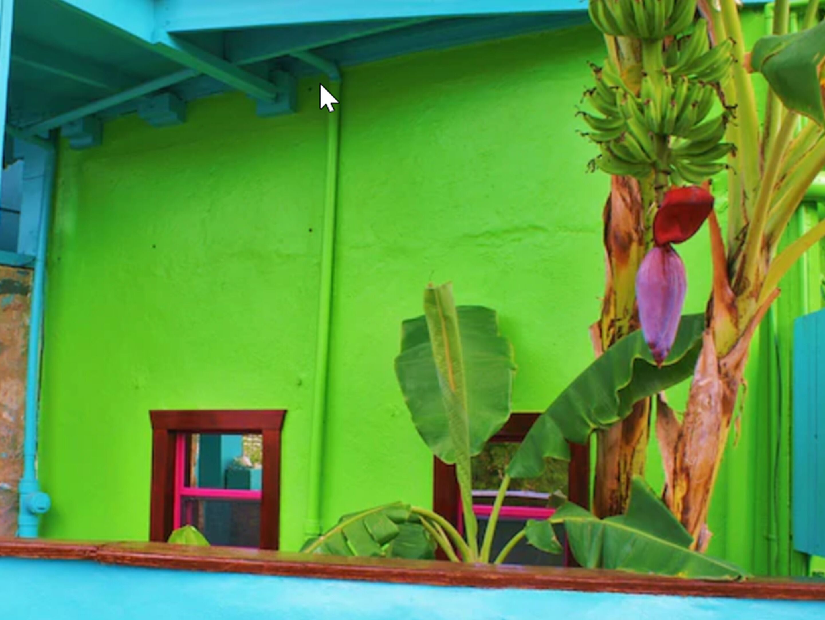Ein Gebäude mit einer hellgrünen Fassade, einem kleinen Fenster mit rotem Rahmen und einer Bananenstaude mit großen Blättern und einer roten Blüte.
