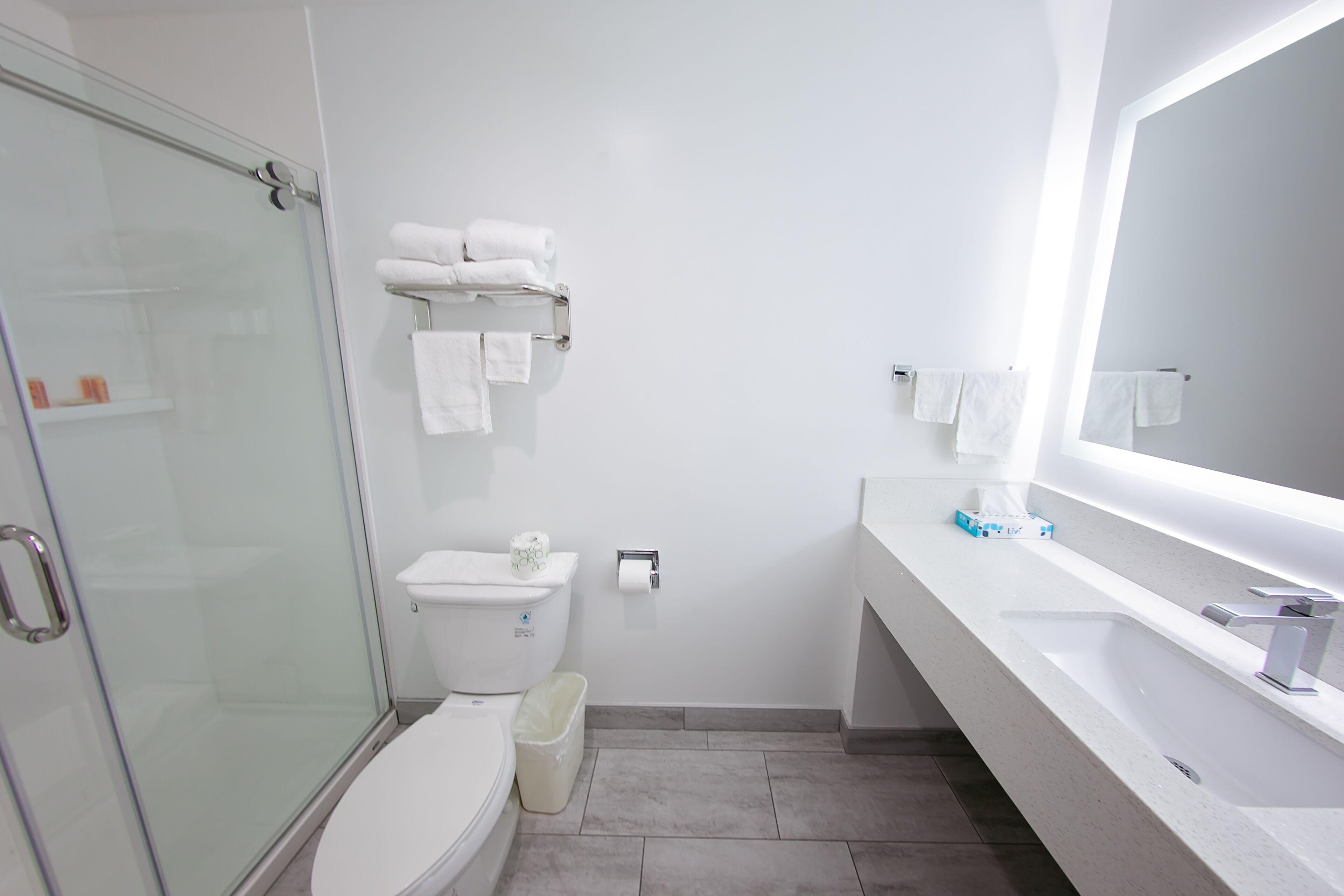 A modern bathroom with a glass shower enclosure, a toilet, a sink with a mirror, and a towel rack.