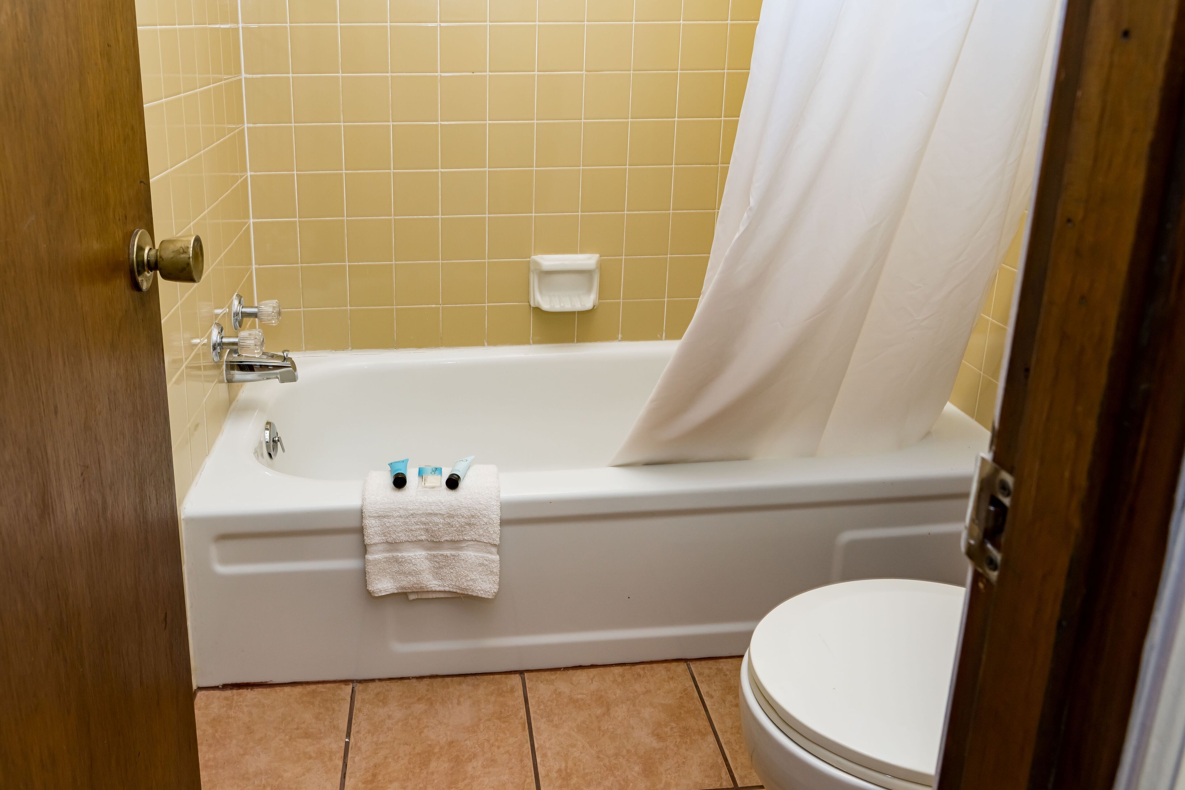 combined shower/bathtub, free toiletries, hair dryer, towels