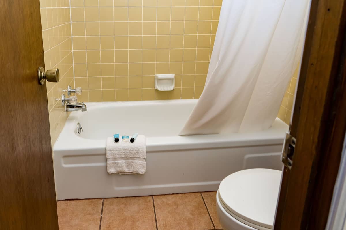 combined shower/bathtub, free toiletries, hair dryer, towels