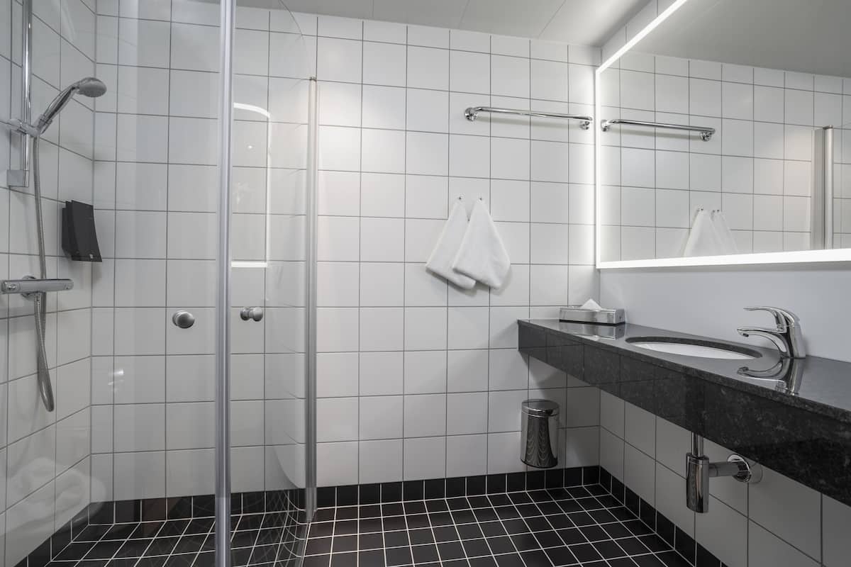 shower, eco-friendly toiletries, hair dryer, towels