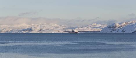 A boat on a calm sea with snow-covered mountains in the background.