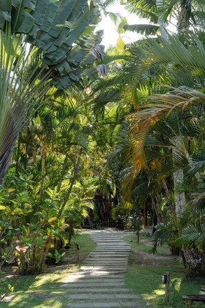 Un sendero bordeado de exuberante follaje tropical que conduce a un edificio.