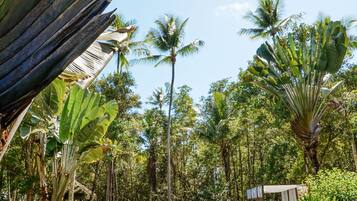 Una piscina al aire libre, tumbonas