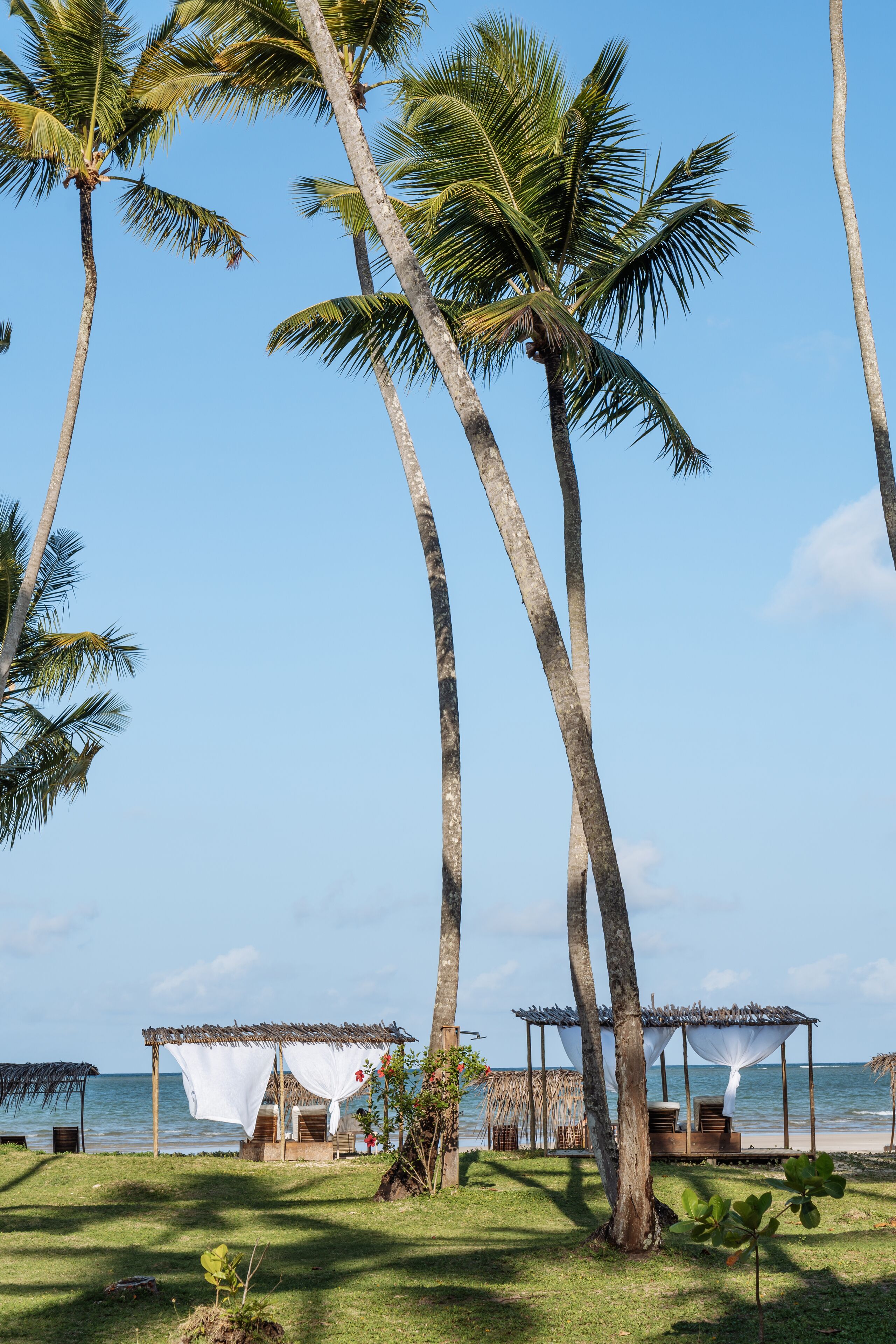 Ein Strand mit Palmen, einer Holzterrasse und einem Gebäude mit Reetdach.