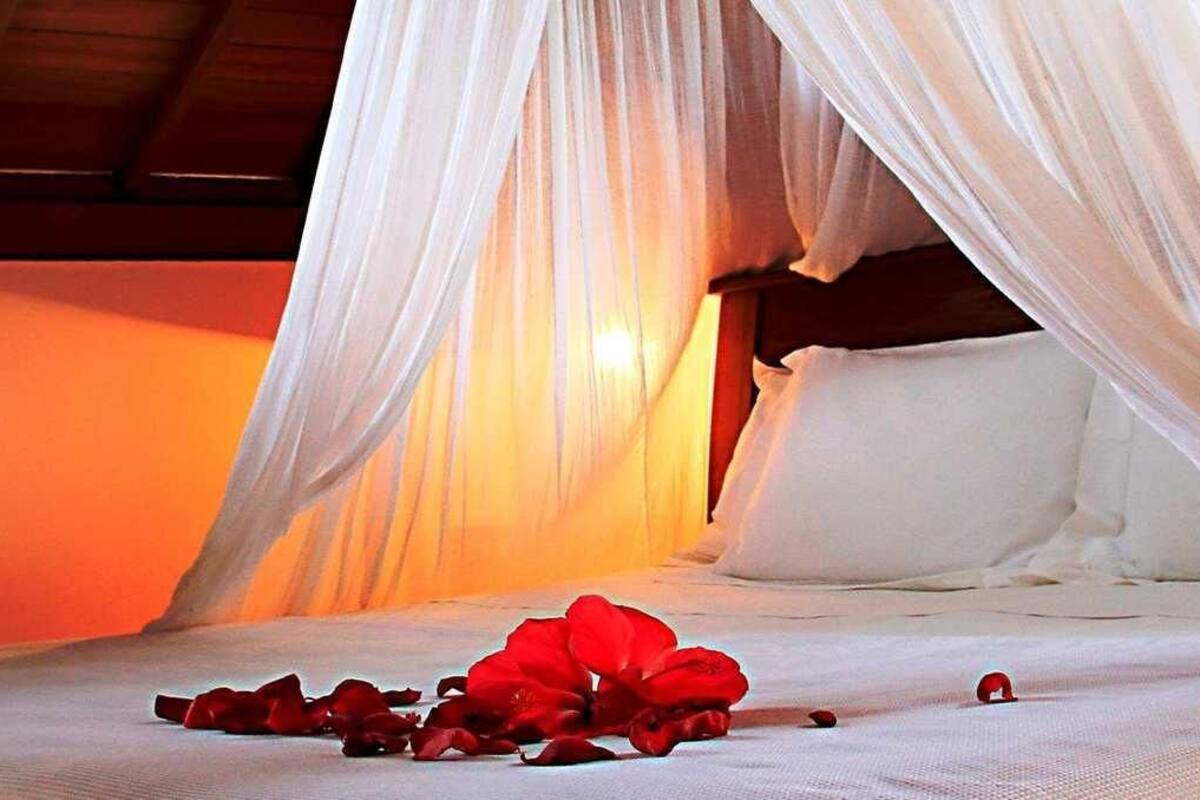Minibar, in-room safe, blackout curtains, free WiFi