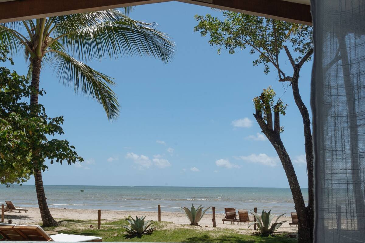 A pool area with a view of the beach and ocean, surrounded by palm trees and lounge chairs.