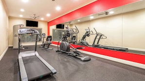 Een fitnessruimte met loopbanden, crosstrainers en een hometrainer.