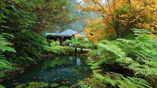 A serene pond surrounded by lush greenery and a small house with a covered porch. - Cottages at Monreale (Olinda)