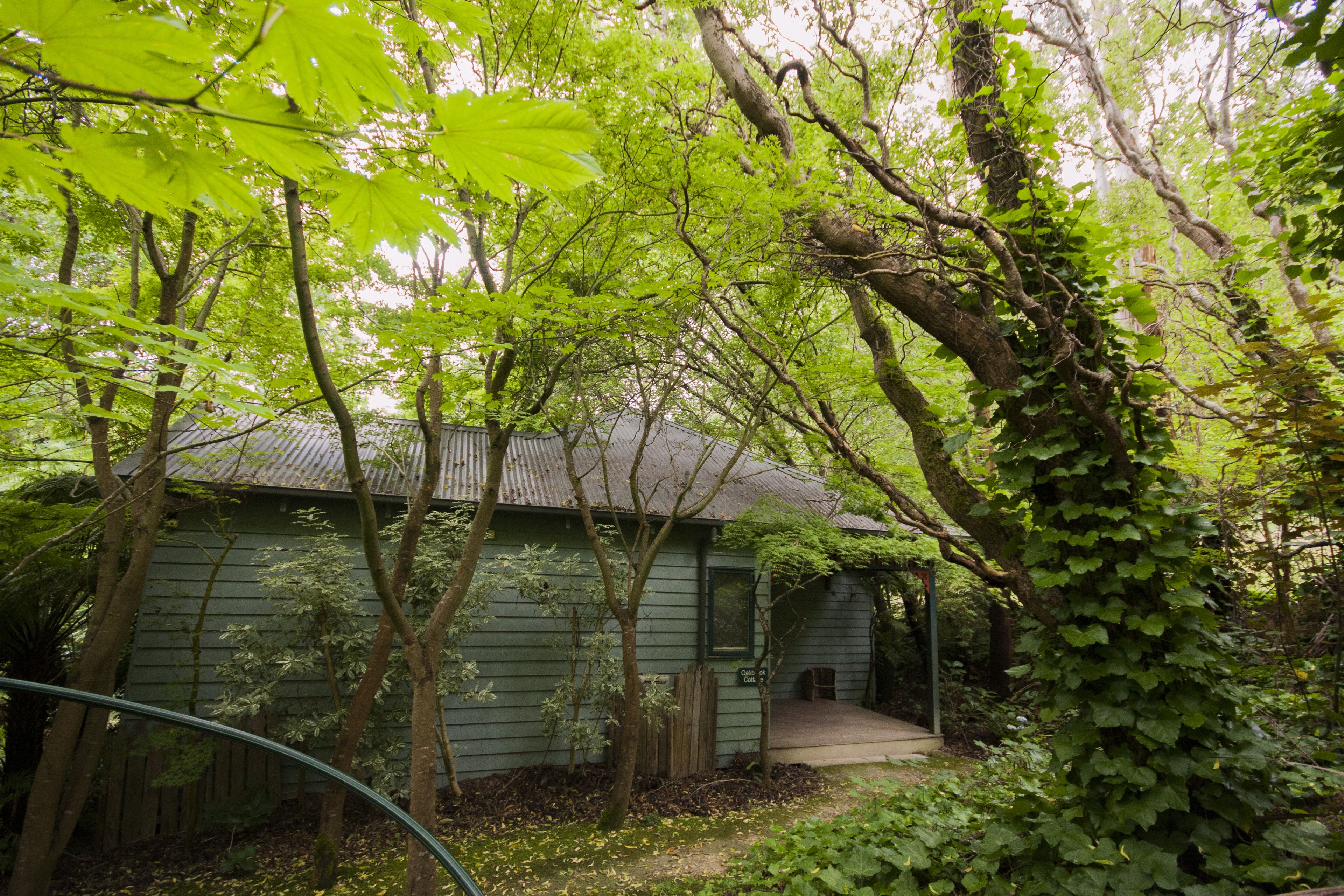 A rustic cabin surrounded by dense foliage, with a wooden deck leading to the entrance.
