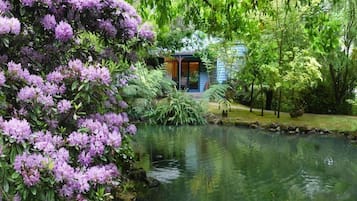 Escape to a serene garden oasis with a tranquil pond and lush greenery, surrounded by vibrant purple flowers.