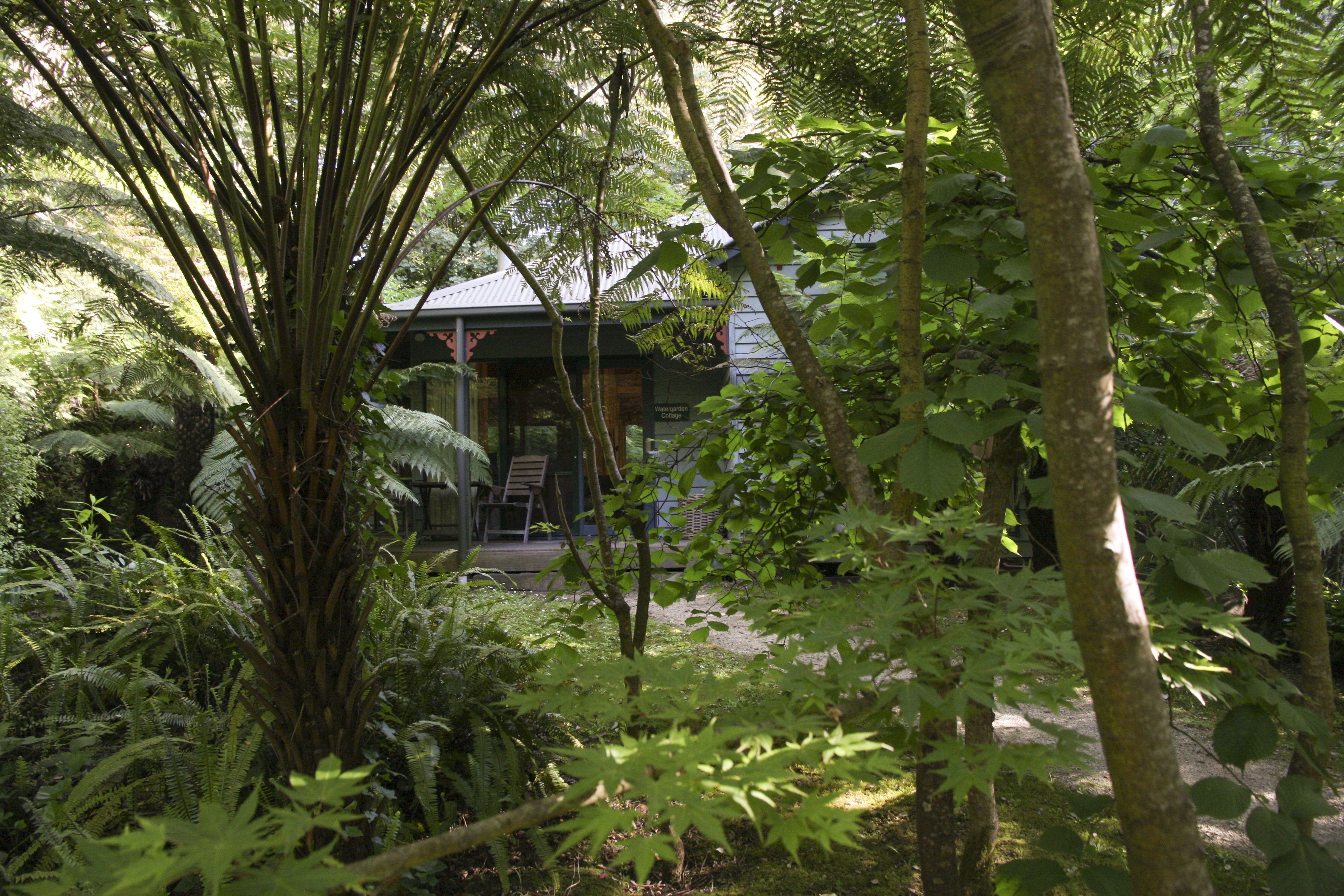 A building surrounded by dense greenery, including ferns and trees, with a visible entrance and seating area.
