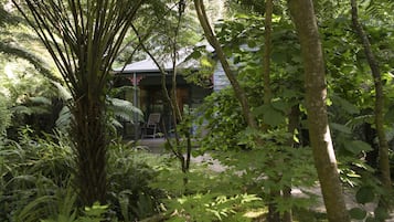 A building surrounded by dense greenery, including ferns and trees, with a visible entrance and seating area.