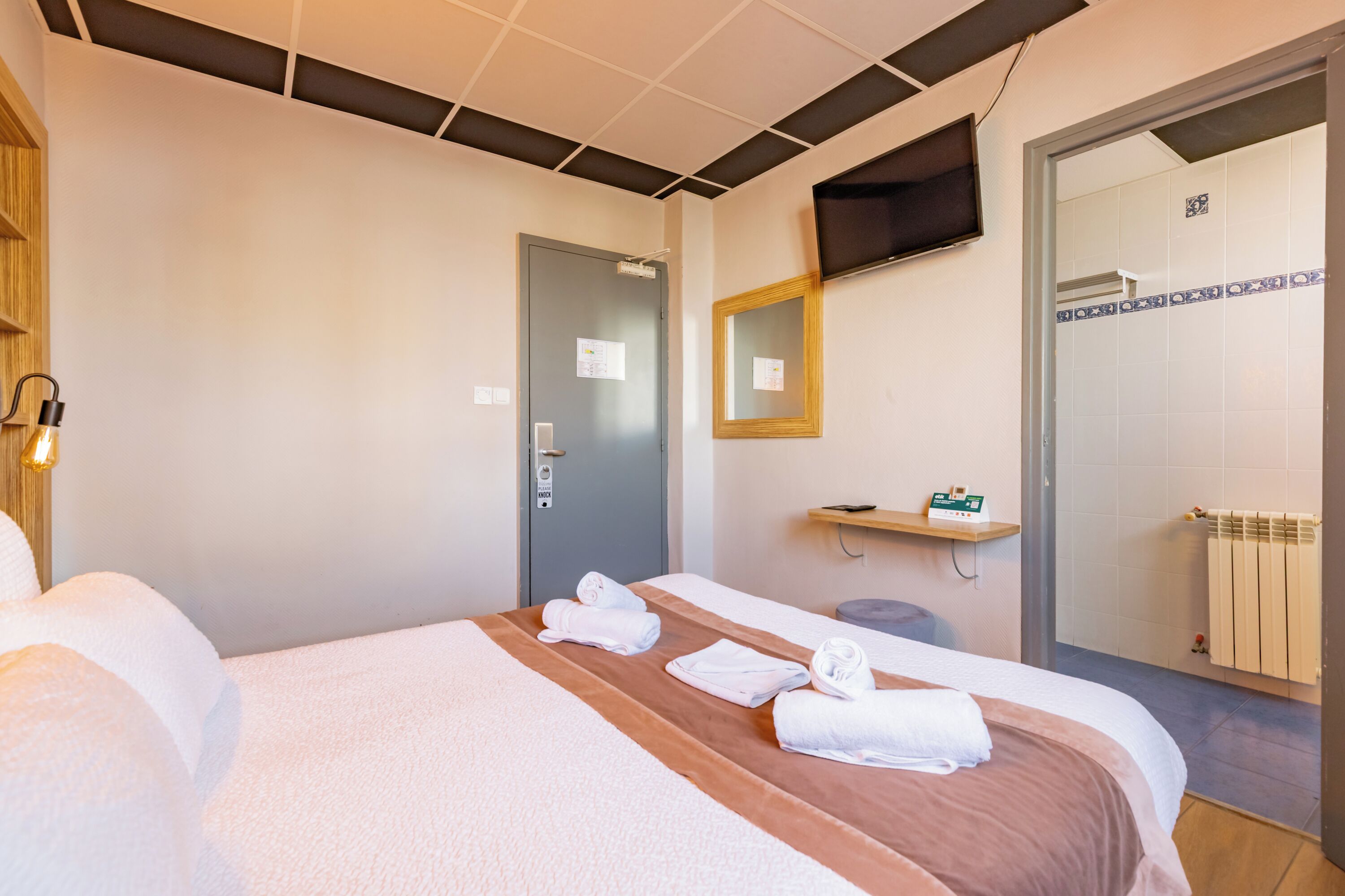Une chambre d’hôtel équipée d’un lit, d’une télévision, d’un miroir, d’un porte-serviettes et d’un espace douche.