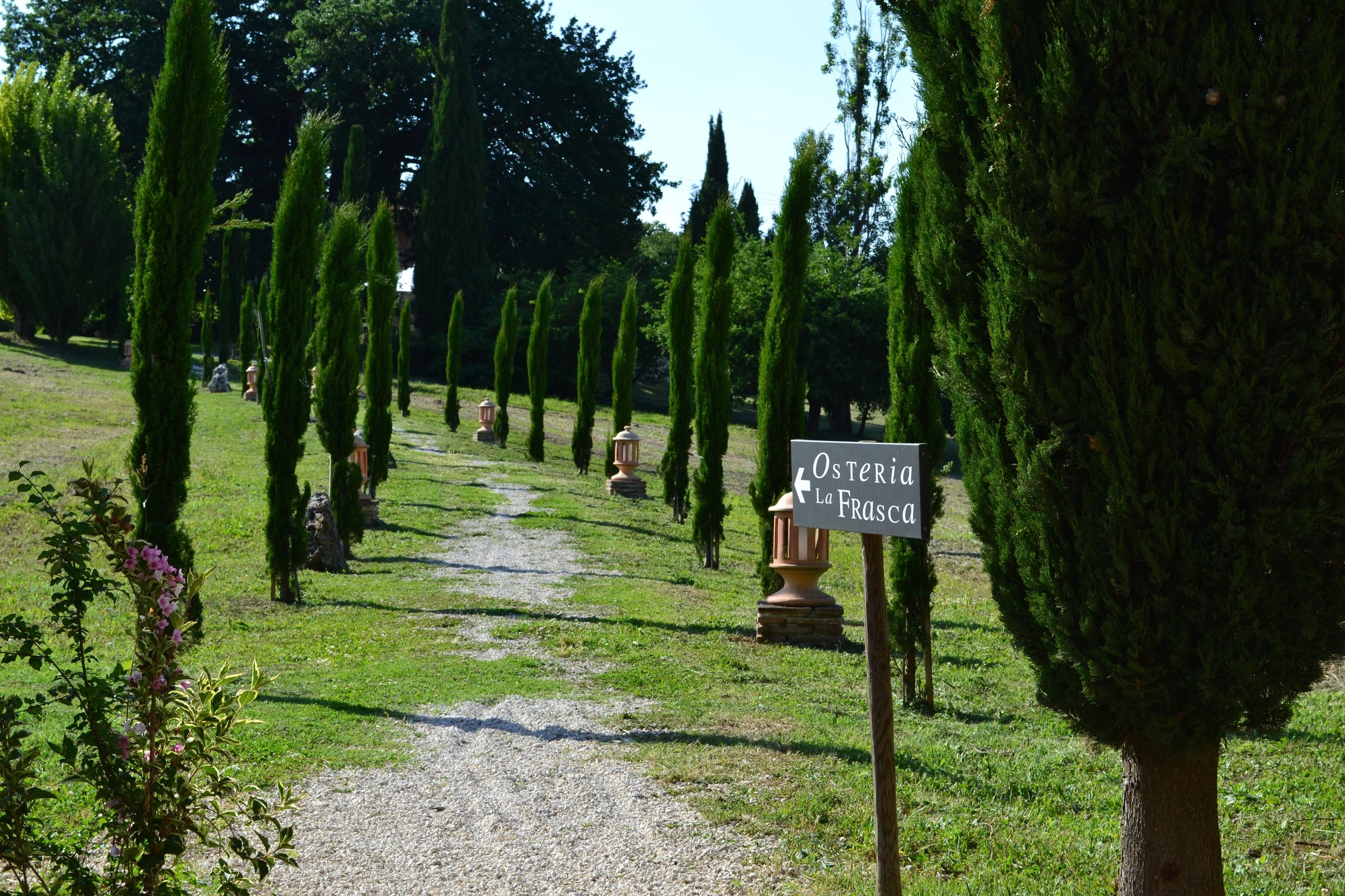 Ein Weg, gesäumt von ordentlich beschnittenen Bäumen, mit einem Schild, das 'Os Teri La Frasca' anzeigt.
