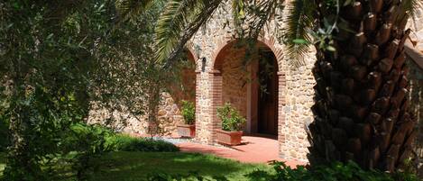 Un arco de piedra que da acceso a un patio con plantas en macetas y una palmera.