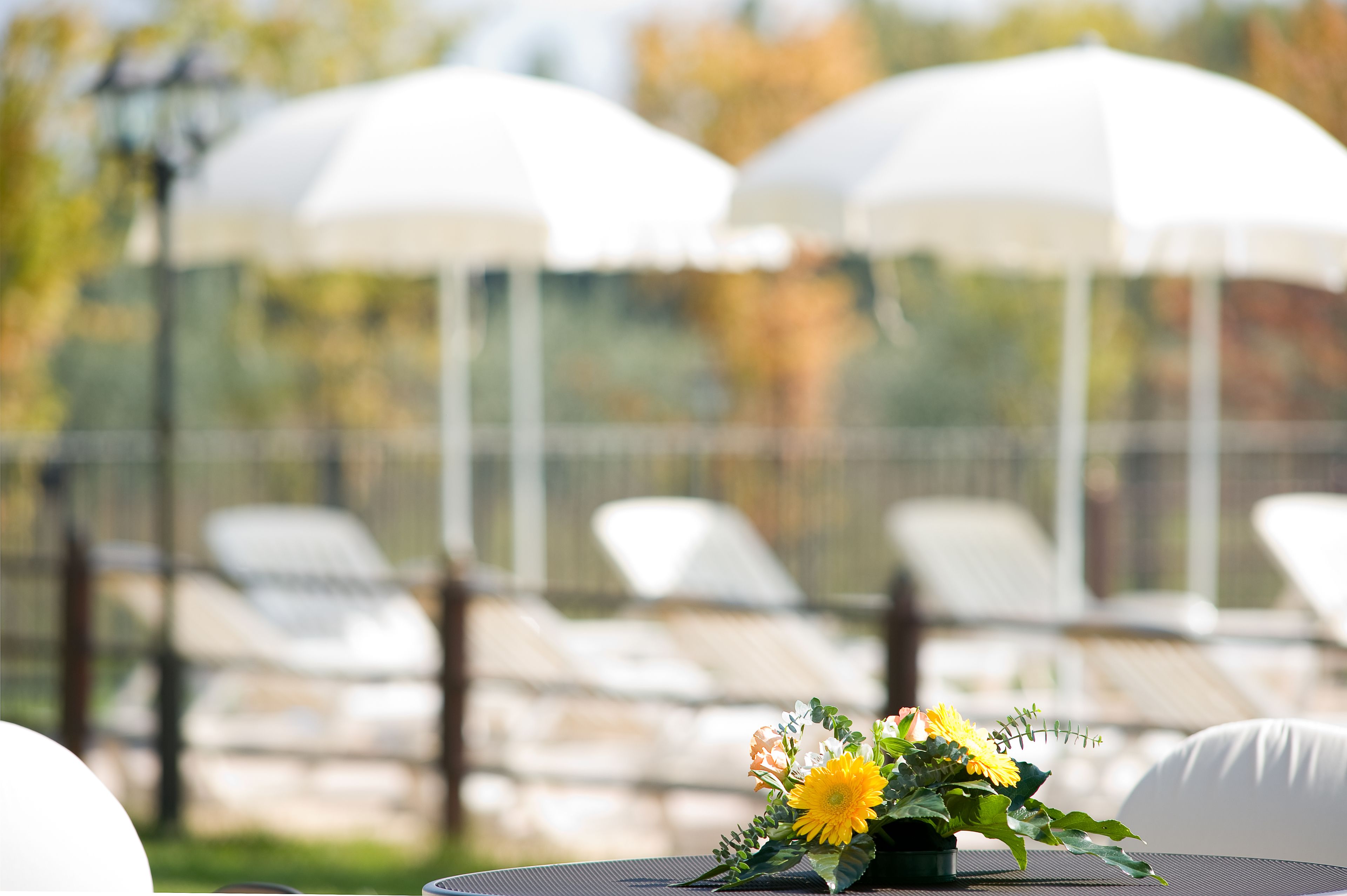 A table with a flower arrangement, white outdoor chairs, and white umbrellas in the background.