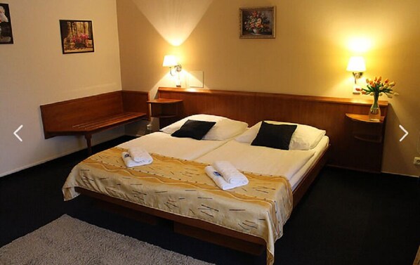 Double Room - Zámecký hotel Zlatý Orel (Hranice)