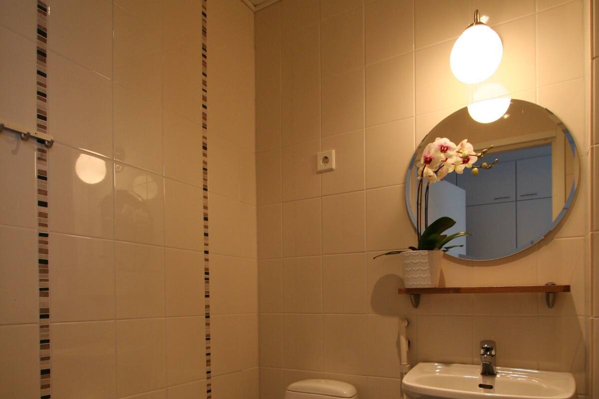 Shower, hair dryer, bidet, towels