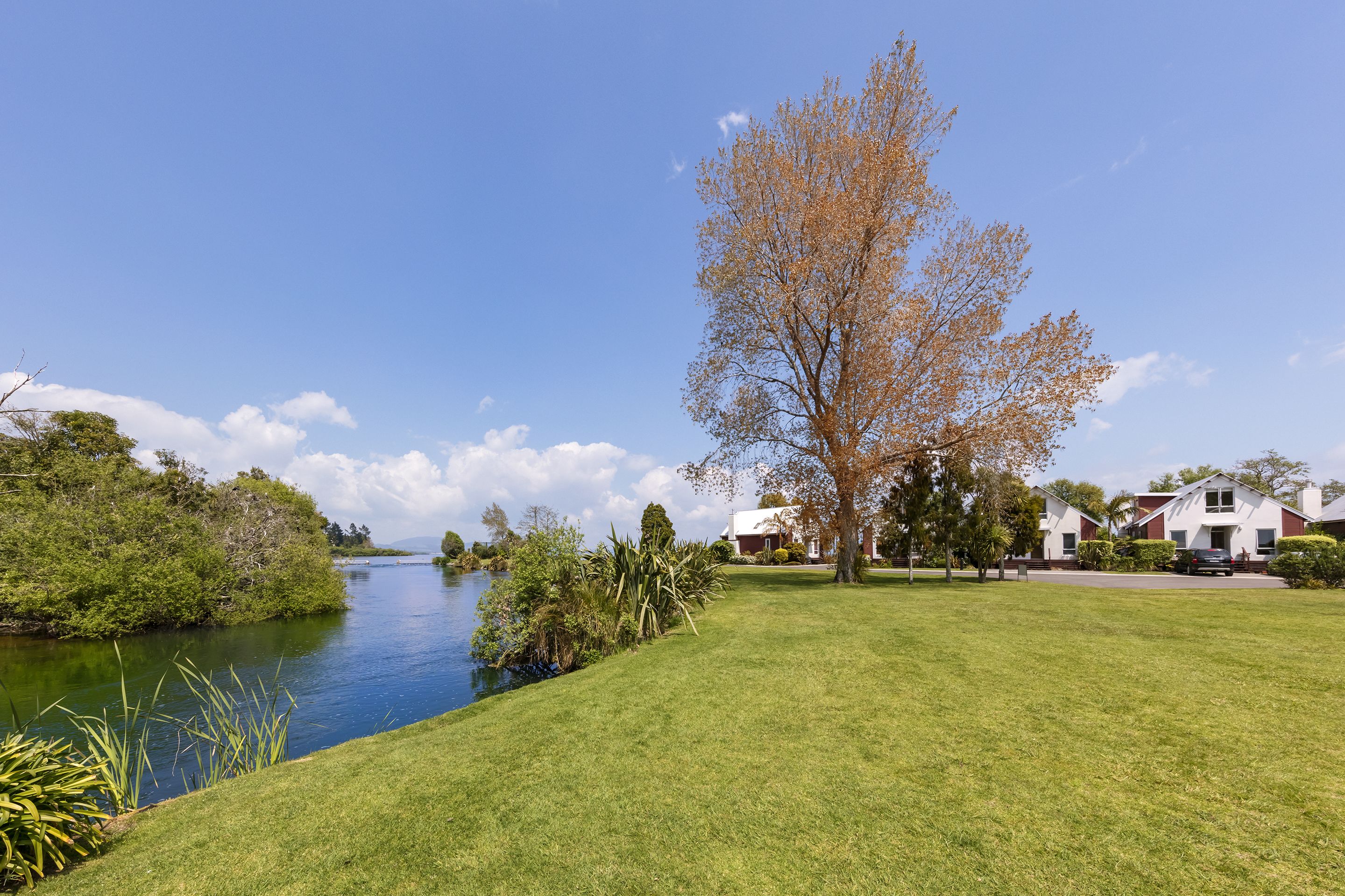 A serene riverside view with a grassy lawn, a large tree, and a row of houses in the background.