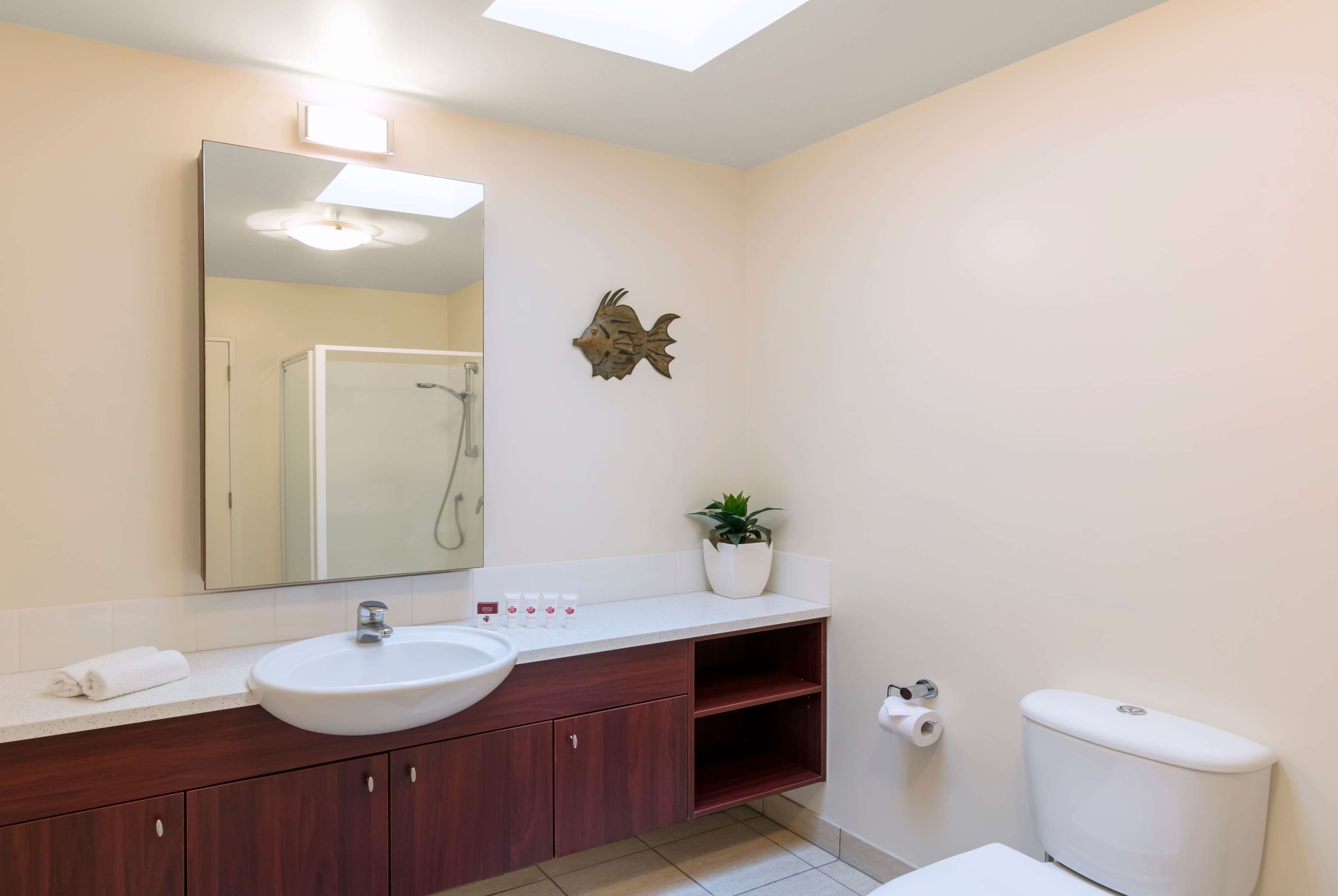A modern bathroom with a white sink, dark wooden cabinets, a large mirror, a fish decoration, and a potted plant.