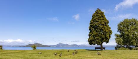 A grassy field with a large tree and a bench, overlooking a body of water and distant mountains.