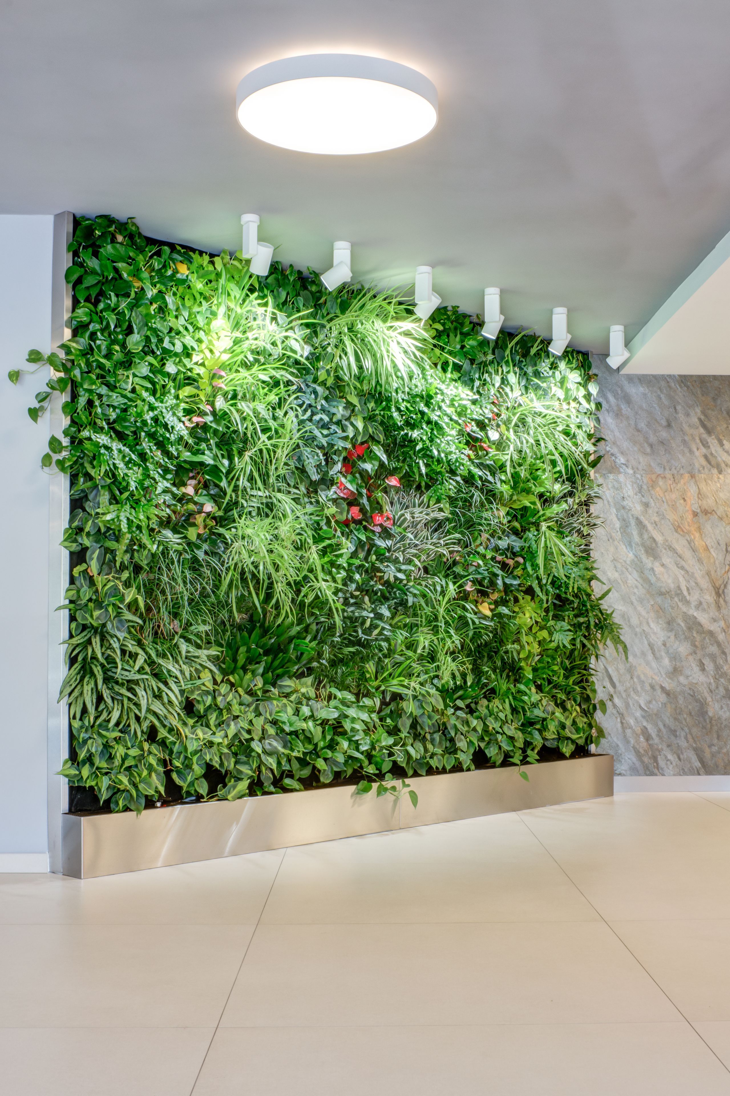 Foto - Best Western Hotel Vista