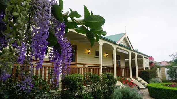 Ein Haus mit einer Veranda, umgeben von viel Grün und violetten Blumen.