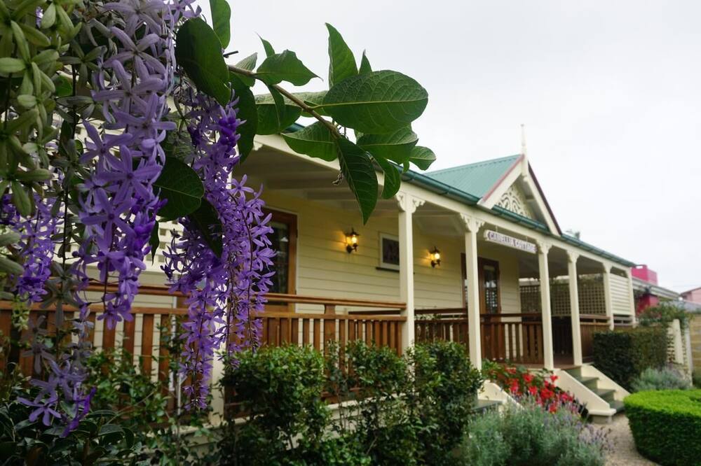 Reid's Place