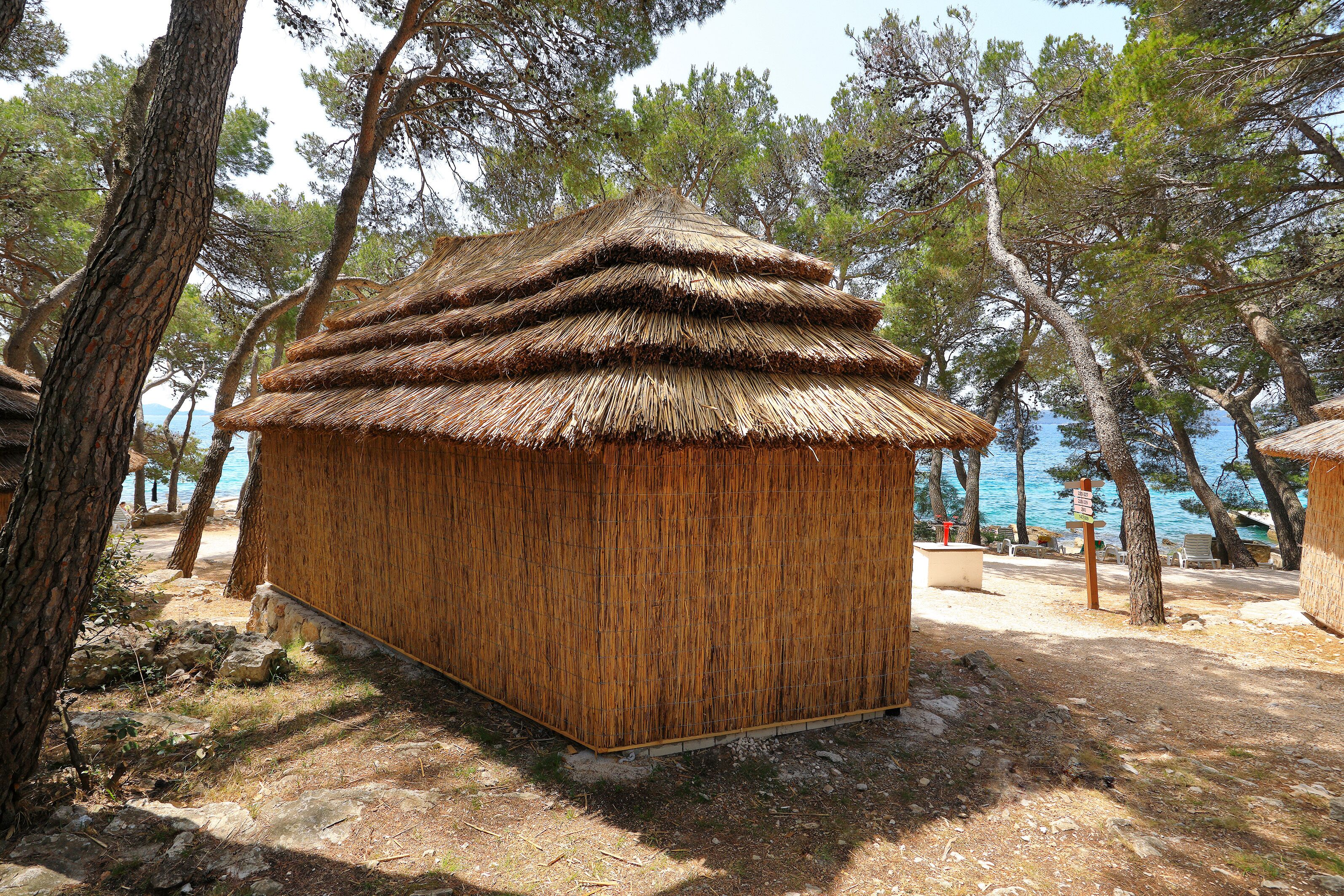 A rustic wooden hut with a thatched roof, surrounded by pine trees and a clear sky.